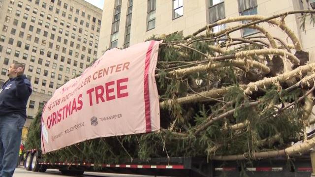 2018-rockefeller-center-christmas-tree.jpg 