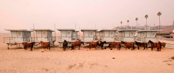 APTOPIX California Wildfires 