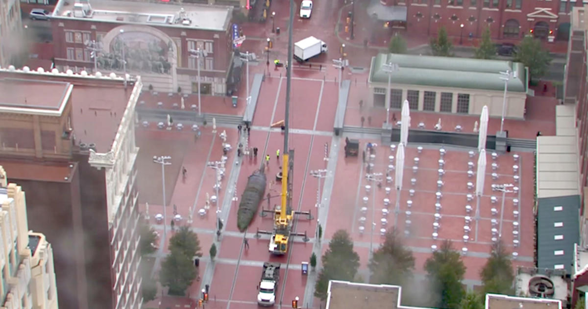 Sundance Square Christmas Tree Arrives, Moved Into Place CBS Texas