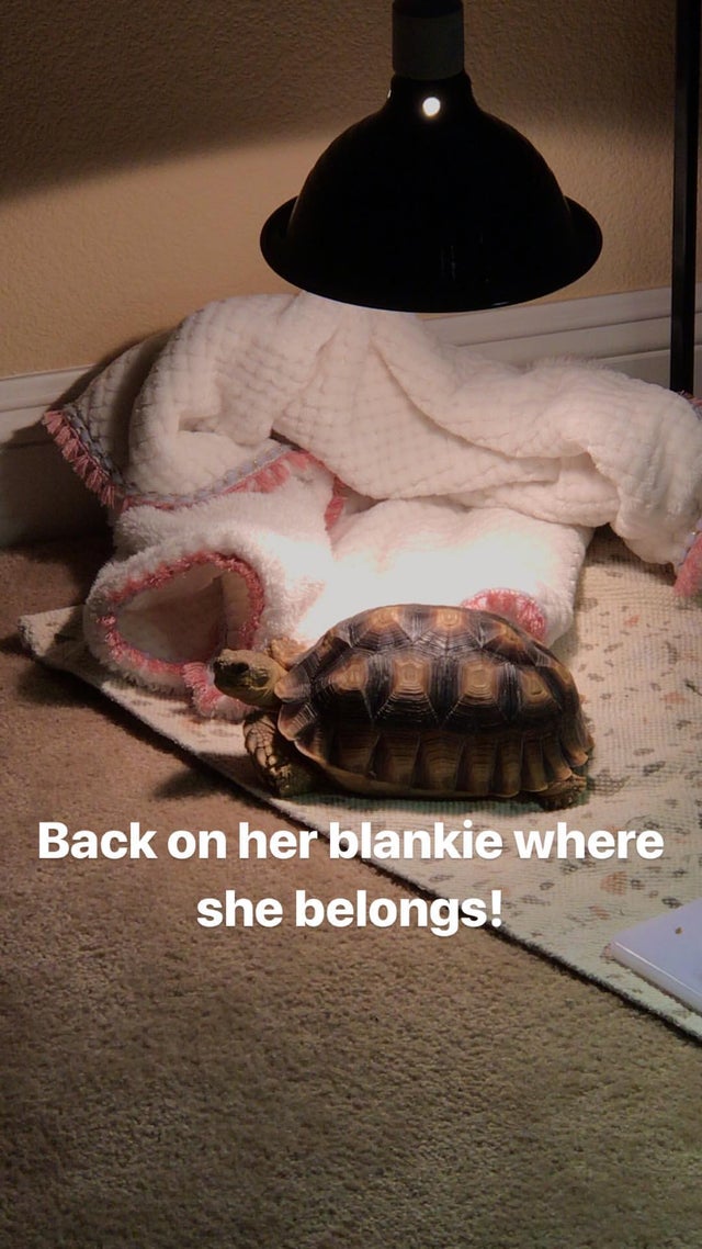 1911353688975230757_3947381286