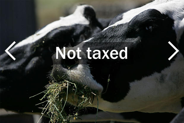 Not Taxed 