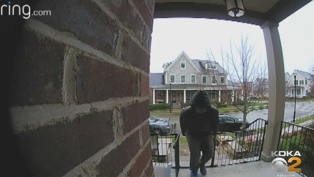 squirrel-hill-delivery-thief.jpg 