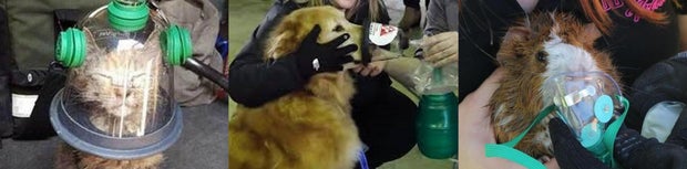 emily's mission resus-a-pet 