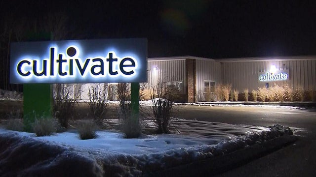 cultivate.jpg 