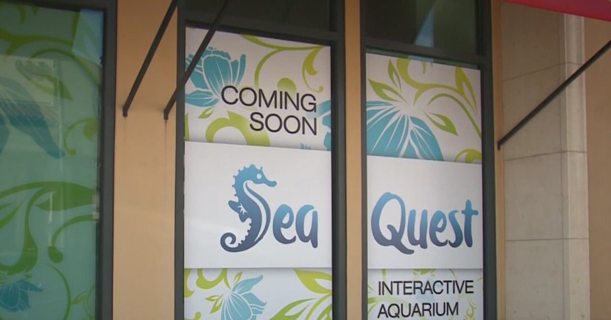 PETA Supporters Expected To Protest Opening Of New Folsom Aquarium