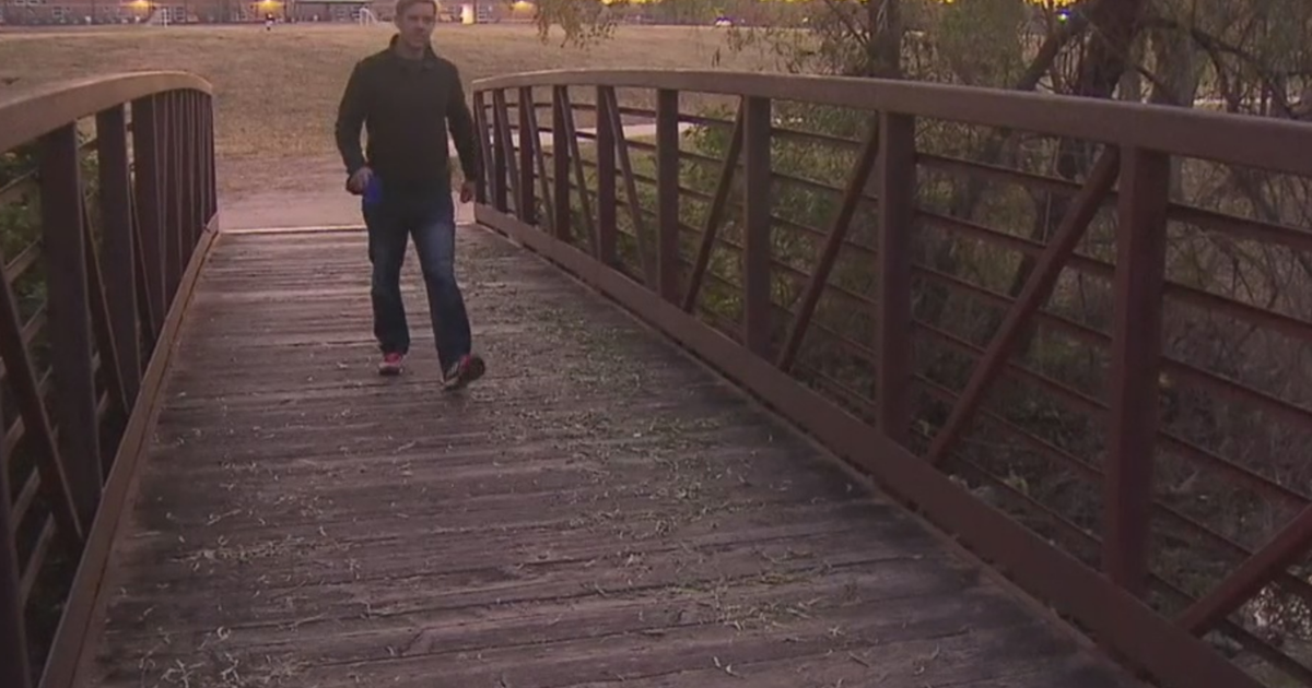 Search On For North Texas Woman And Dog Following 2 Dog Attacks In Same ...