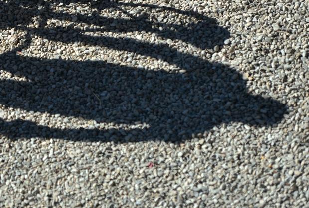 Bicycle shadow. 
