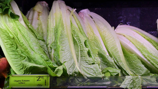 romaine-lettuce-1063900834.jpg 