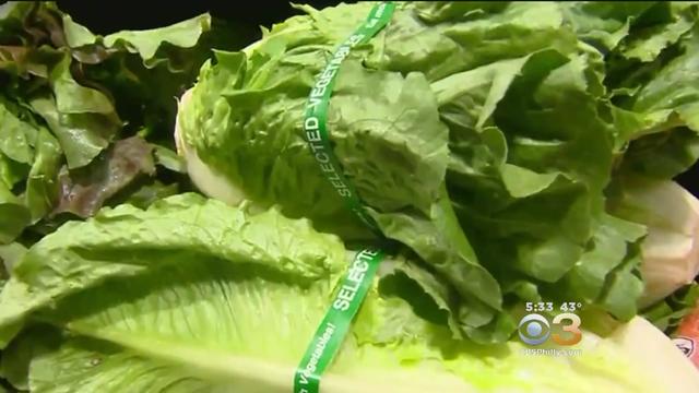 e-coli-romaine-lettuce-outbreak3.jpg 