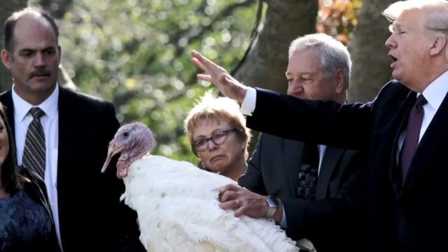 cbsn-fusion-the-history-behind-the-presidential-turkey-pardoning-thumbnail-1718114-640x360.jpg 