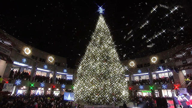 Faneuil hall christmas deals tree