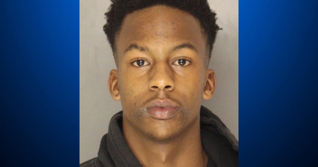 Teen Arrested In Series Of West End Pizza Delivery Driver Robberies ...