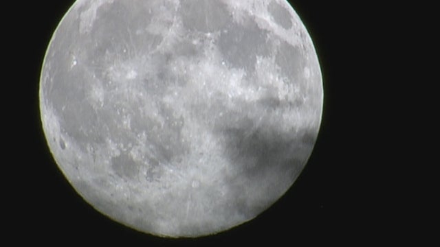 NASA CONTRACTS PKG_frame_1543 