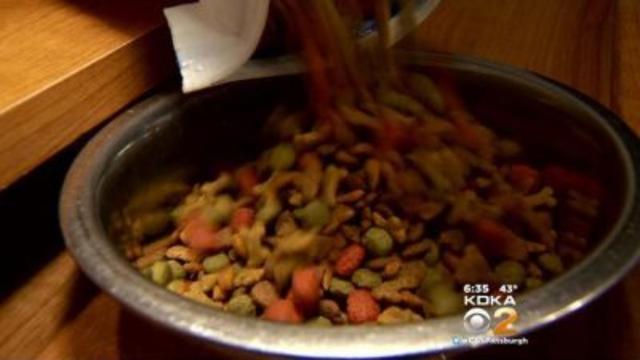 dog-food-kdka-1.jpg 