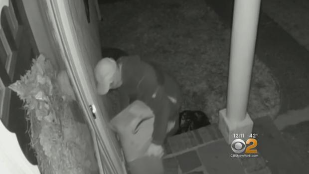 Plainfield picky package thief 