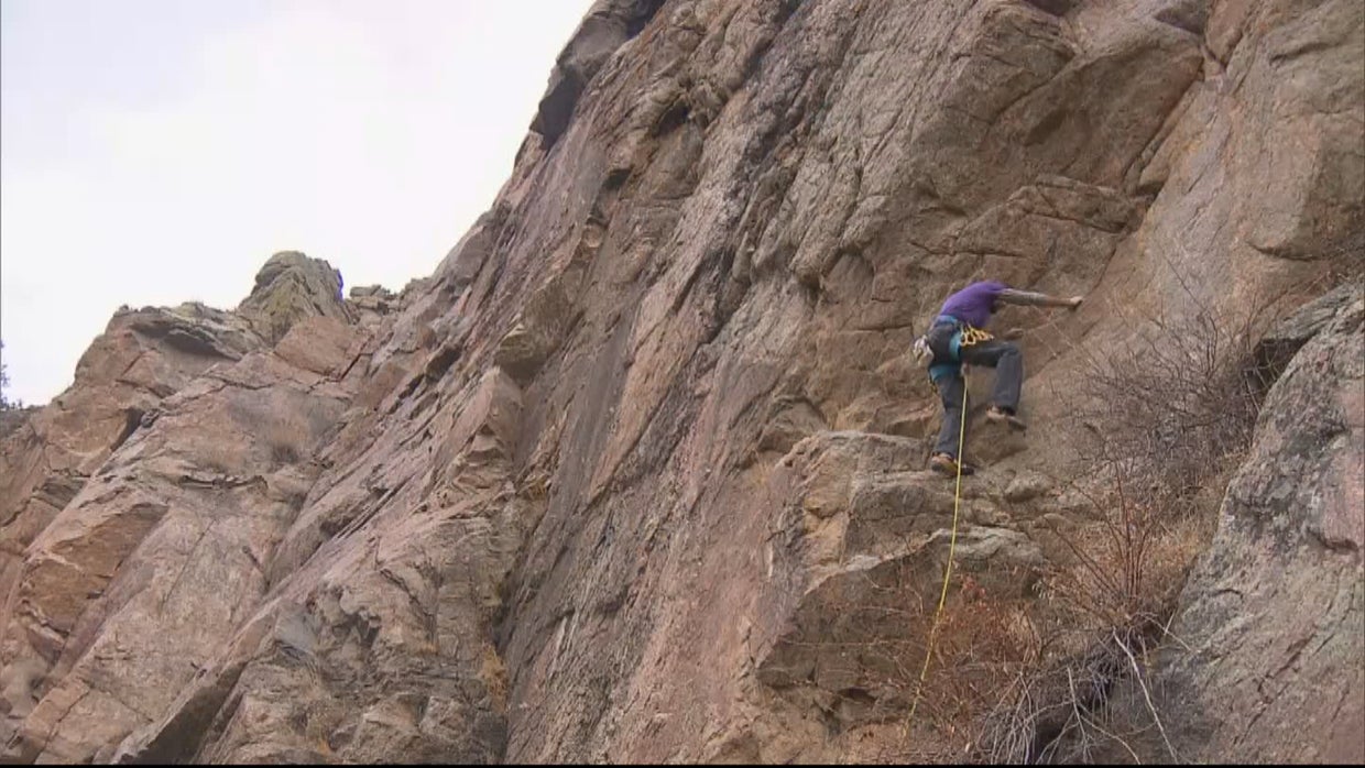 Climbers Scale New Heights To Find Bats, Help Protect Species - CBS ...