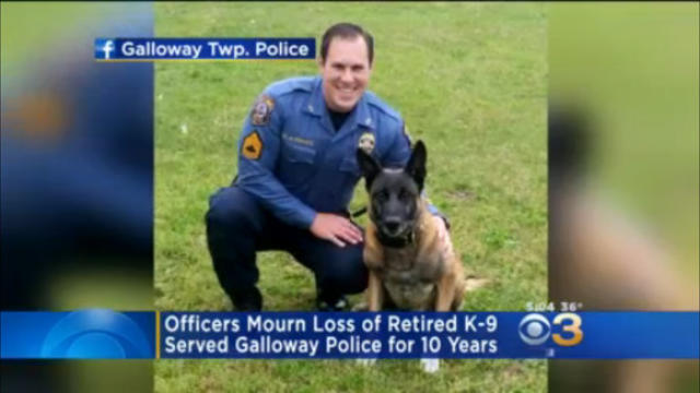 zito-galloway-township-police-dog1.jpg 