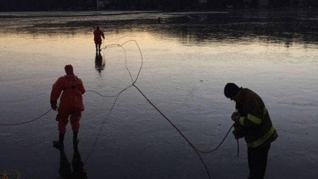 sutton-ice-rescue-dog.jpg 