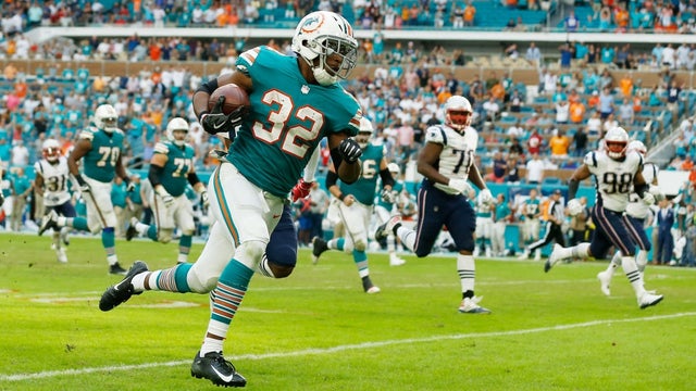 kenyan-drake-dolphins-11.jpg 