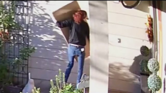 porch-pirate-1.jpg 