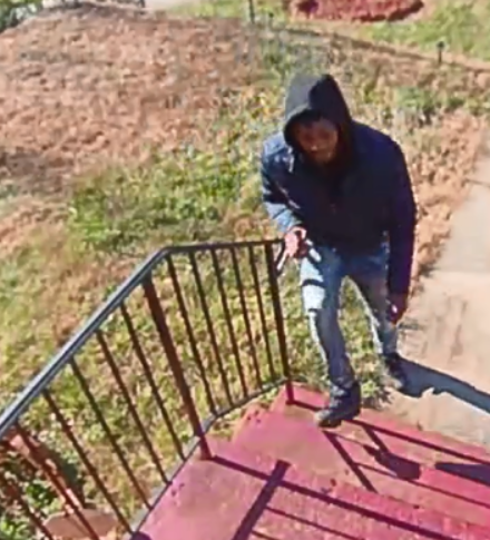 Suspect 3 Capitol Height theft 