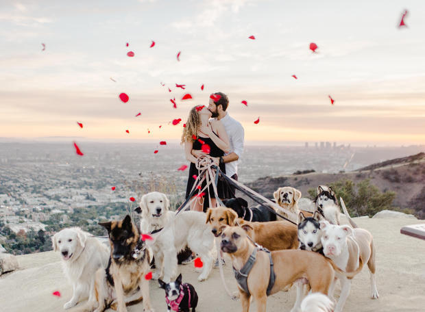 With Help Of 16 Dogs, Man Proposes To Girlfriend In Runyon Canyon 