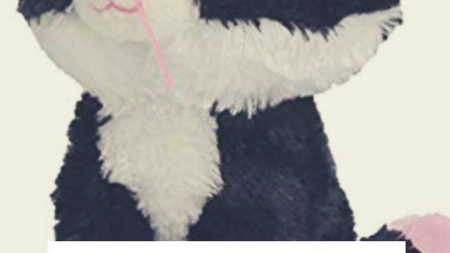 MissingPepper.jpg 