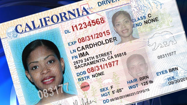 drivers-license.jpg 