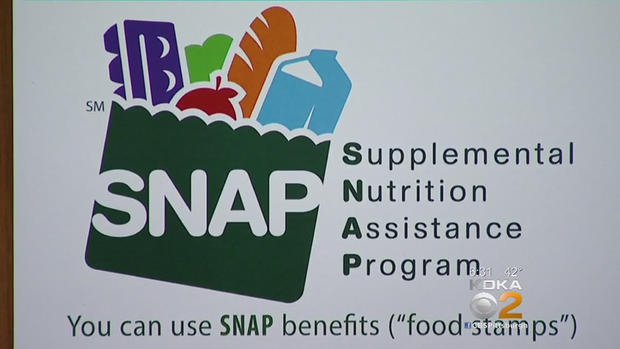 snap-food-stamps-program 