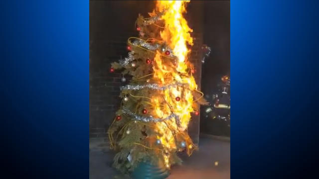 christmas-tree-fire-danger-featured.jpg 