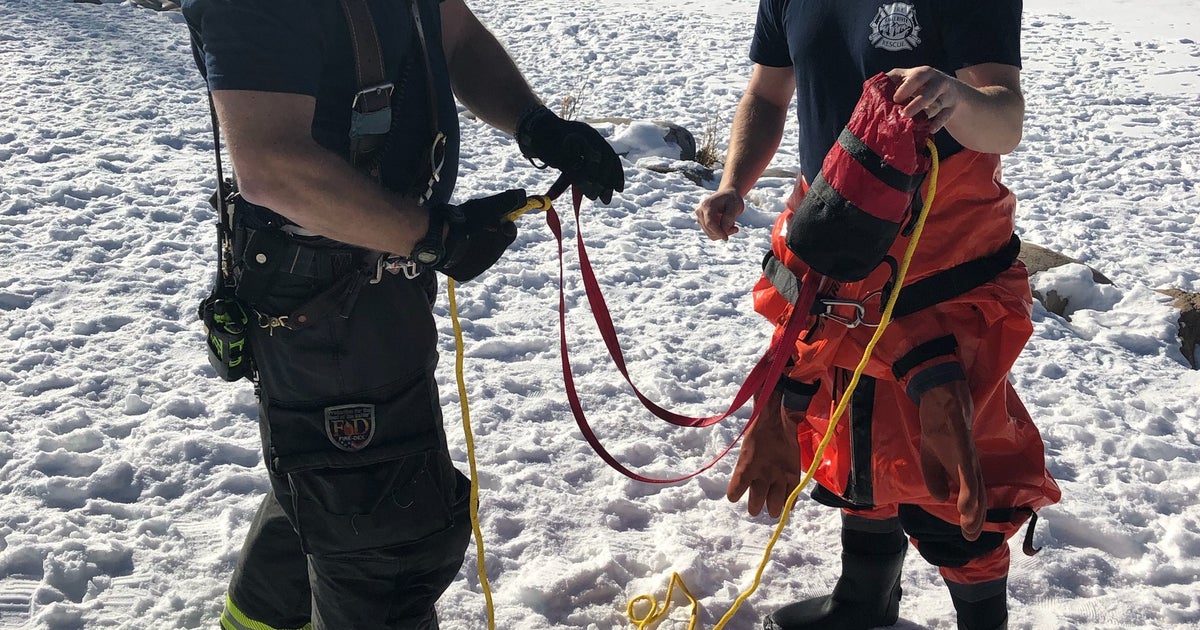 Citizens Rescue Woman From Icy Pond With Park's New Rope System - CBS ...