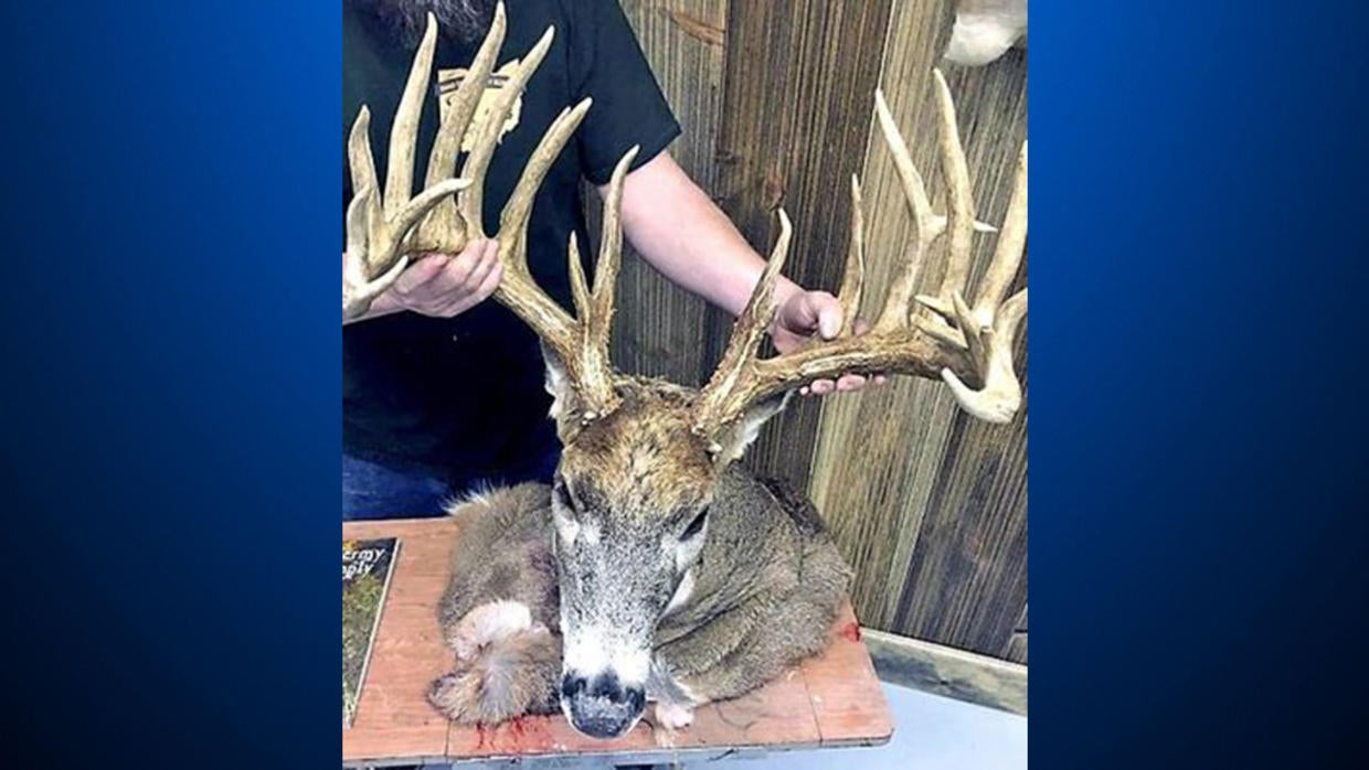 amish-man-in-ohio-fined-28k-for-poaching-26-point-buck-cbs-pittsburgh