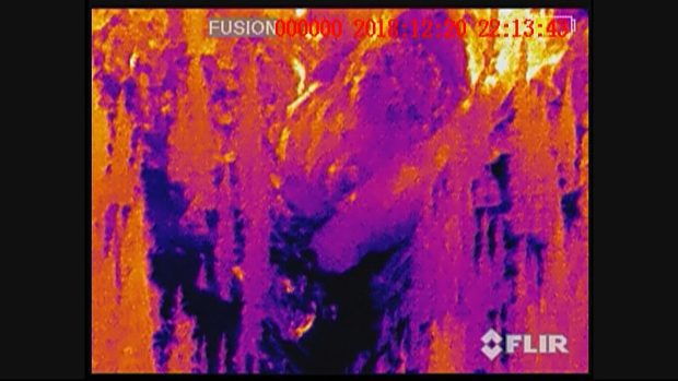 THERMAL AVALANCHE 1_frame_476 