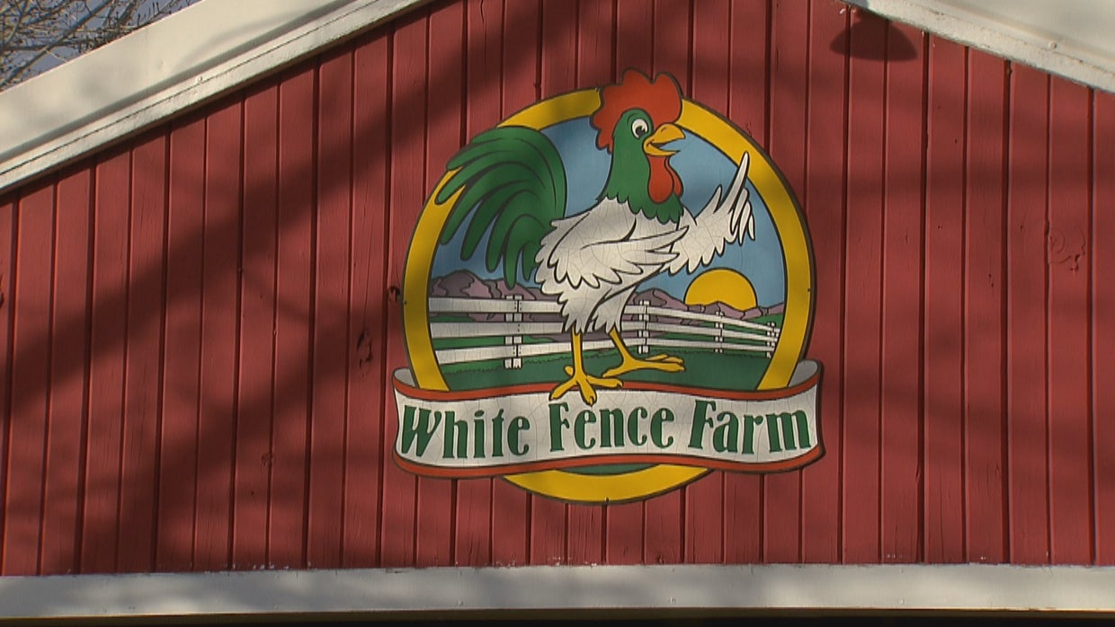 White Fence Farm Will Likely Apartments CBS Colorado