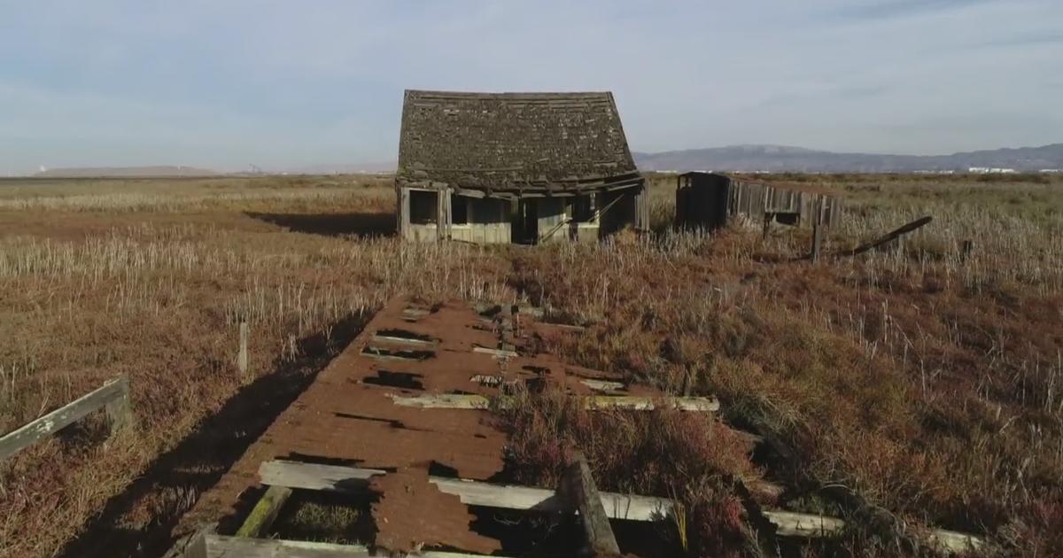 How looting in San Francisco turned the city into a ghost town