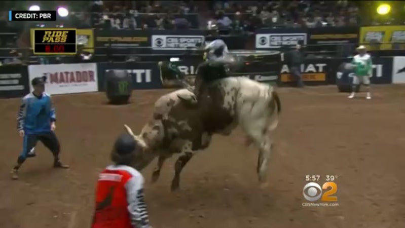 Yee Haw! Professional Bull Riders At MSG This Weekend - CBS New York