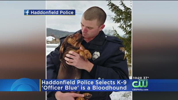 New Canine Joining Haddonfield Police Force 