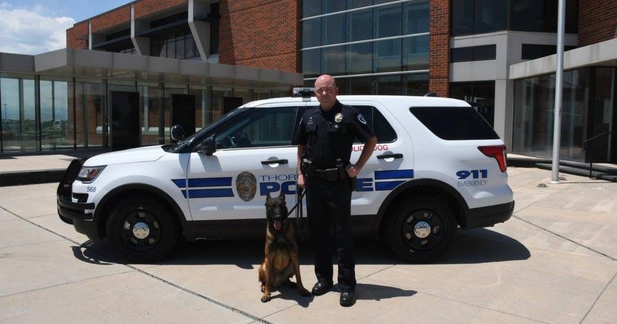 Thornton K9 Officer To Receive Invaluable Tool From Nonprofit - CBS ...