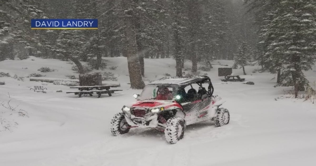 14 People, Including 2 Infants, Rescued From Backcountry In Heavy Snow ...