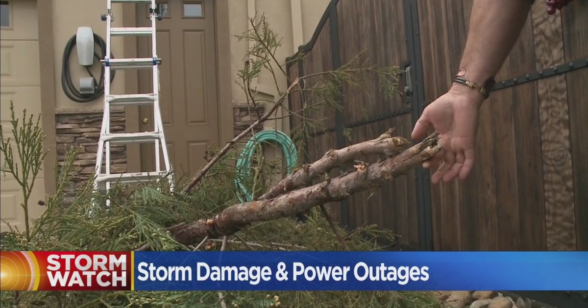 Crews, Homeowners Cleaning Up Down Trees And Power Lines After Big ...