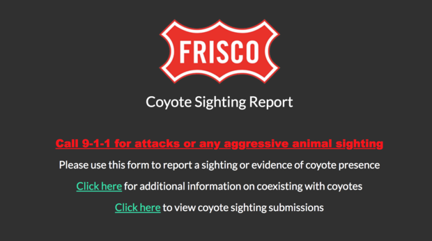 Frisco Coyote Sighting Report 