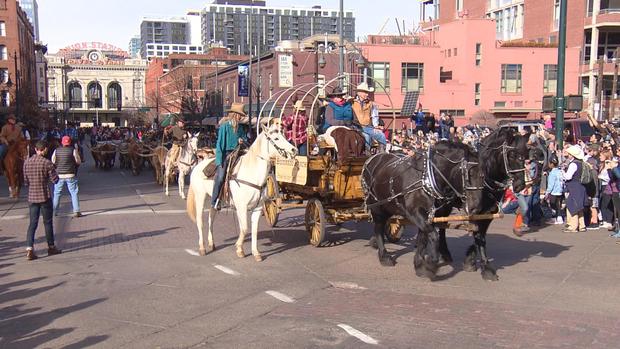 National Western Stock Show Parade on Jan. 10, 2019 