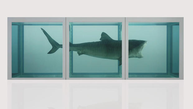 shark-in-formaldehyde-the-physical-impossibility-of-death-in-the-mind-of-someone-living-1991-by-damien-hirst-620.jpg 