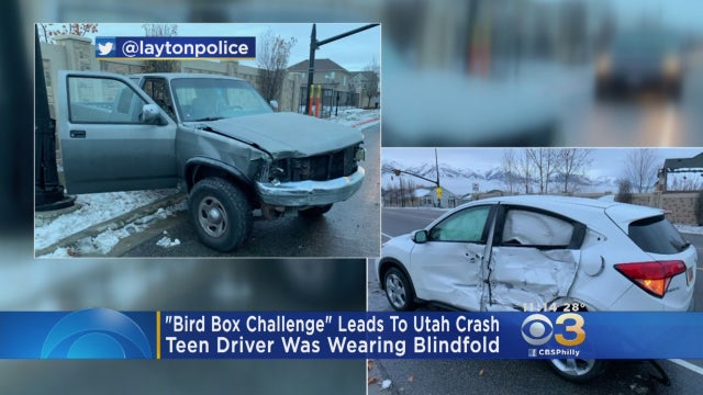 utah-bird-box-challenge-crash.jpg 