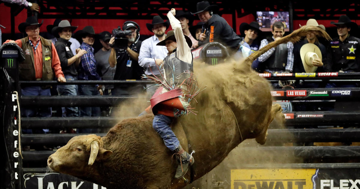 Mason Lowe death Witness describes bull rider's fatal ride at PBR