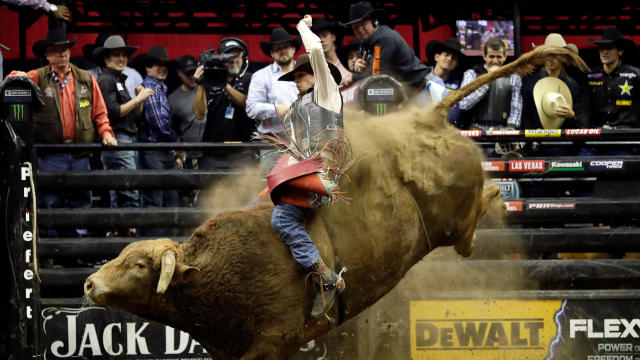 Mason Lowe rides Cochise during the 15/15 round of the PBR Kansas City Invitational at the Sprint Center on Feb. 11, 2017, in Kansas City, Missouri. 