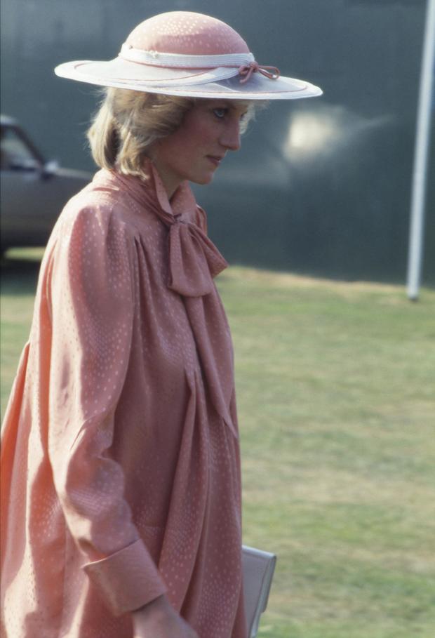 Windsor Princess Diana 