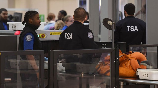 tsa.jpg 