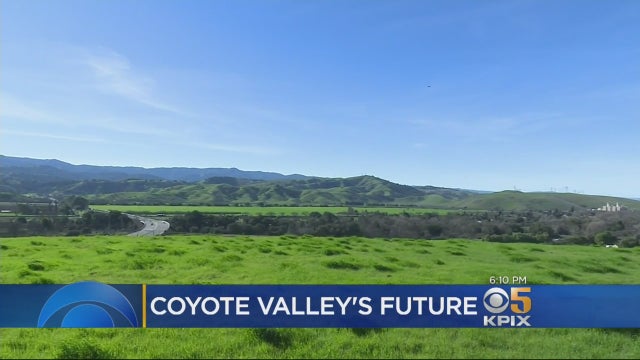 coyote-valley.jpg 