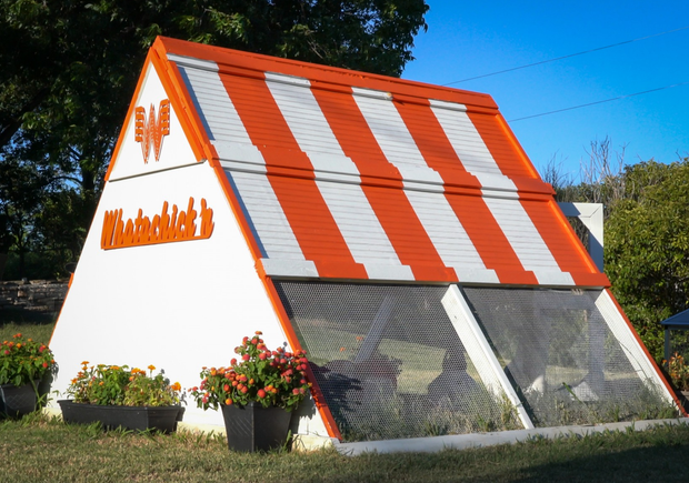 Whataburger chicken coop